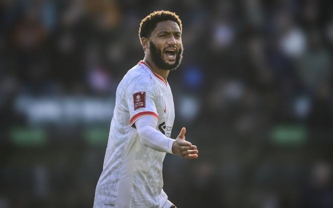 这种自信可 这种自信可